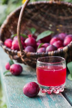 Bir bardak berry içki ve rustik ahşap masa arka plan üzerinde yaprakları ile taze erik. Sonbaharda hasat kavramı. Doğal meyve kompostosu.