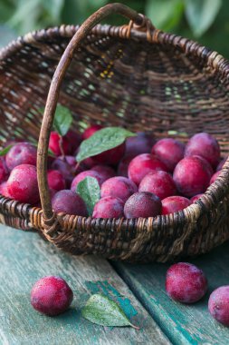 Taze erik yapraklarda rustik ahşap masa arka plan ile. Sonbaharda hasat kavramı