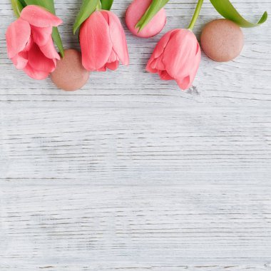 Mercan laleler ve beyaz ahşap zemin üzerinde tatlı pastel Fransızca macaroons