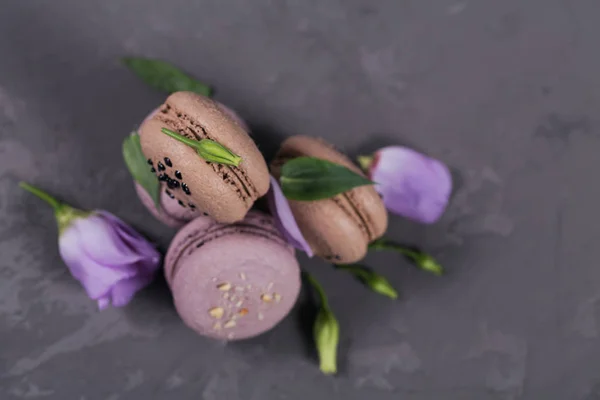 Hromadu Sladké Francouzské Macarons Smíchané Květy Šedém Pozadí Betonové Soubory — Stock fotografie