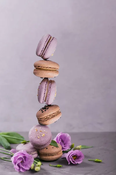 Sladké Francouzské Macarons Cookies Šedém Pozadí Makronky Pastelových Barevných Balansed — Stock fotografie
