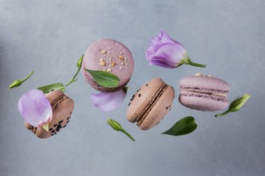 Tatlı Fransızca macaroons çiçekler gri arka plan ile karışık düşüyor. Pastel renkli uçan bademli kurabiye kurabiye. Gıda, mutfak ve pişirme kavramı