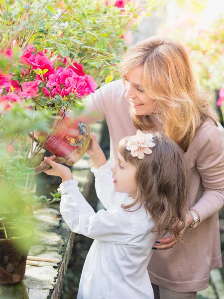 Anne ve kız carying bitkiler, serada Bahçe. Açelya çiçek. Botanik Bahçesi, tarım, bahçecilik sanayi kavramı çiçek