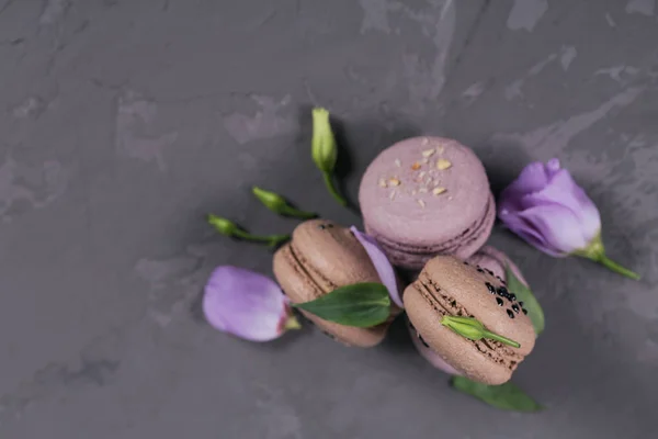 Hromadu sladké francouzské macarons smíchané s květy na šedém concret — Stock fotografie