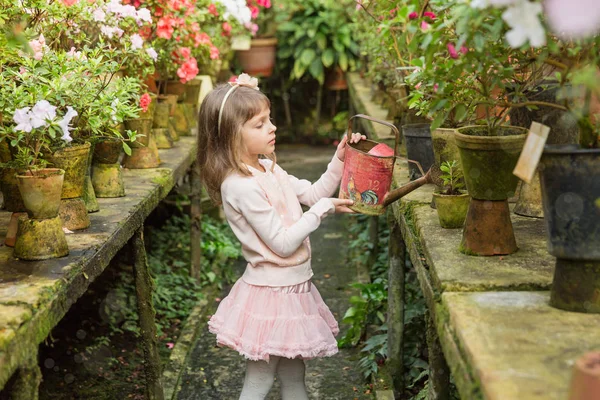 Little girl helps watering plants and gardening in greenhouse