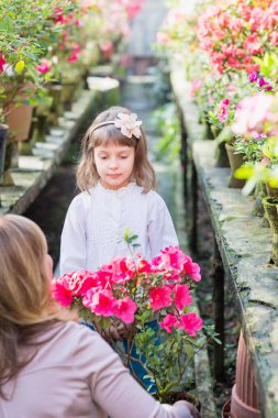 Anne ve kızı büyüyen bitkiler, Bahçe sera içinde. 