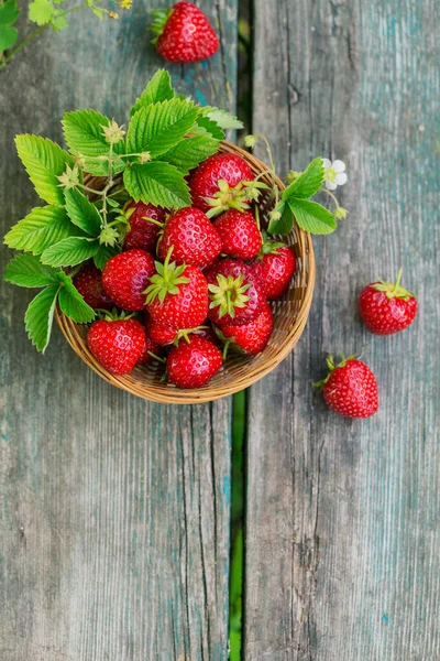 Montón Fresas Frescas Tazón Canasta Sobre Fondo Rústico Madera Alimentación — Foto de Stock