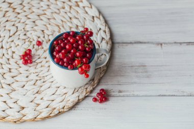 Beyaz bir diş minesi bardağında taze kırmızı frenk üzümü. Beyaz masa maketinde sağlıklı yiyecekler. Lezzetli, tatlı, sulu ve olgun arkaplanlı metin için kopya alanı.