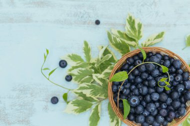 Sepette taze yaban mersini ve yapraklı üst manzara. Beyaz masadaki sağlıklı yiyecekler masal gibi. Lezzetli, tatlı, sulu ve olgun arkaplanlı metin için kopya alanı