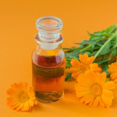 Calendula ürünleri. Bir şişe kozmetik ya da gerekli yağ ve turuncu arka planda taze takvim çiçekleri. Aromaterapi, spa ve sağlık konsepti