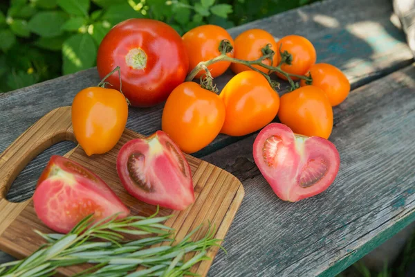 Разноцветные помидоры и розмариновая трава на деревенском деревянном фоне — стоковое фото