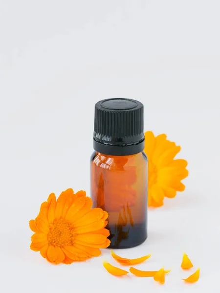 Calendula producten. Fles etherische olie en verse calendula bloemen op witte achtergrond. Aromatherapie, spa en wellness concept — Stockfoto