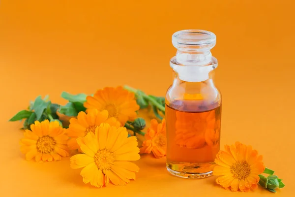 Bottle of pot marigold tincture, with fresh Calendula flowers on orange background. Natural herbal alternative medicine, healing and medicinal herbs. — Stock Photo, Image