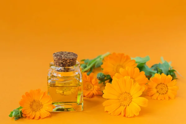 Turuncu arka planda takvim çiçekleri olan doğal kozmetik yağı. Sağlıklı cilt bakımı. Aromaterapi, spa ve sağlık konsepti — Stok fotoğraf