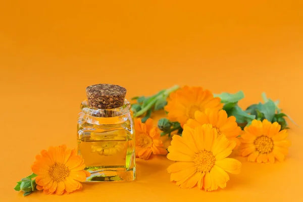 Turuncu arka planda takvim çiçekleri olan doğal kozmetik yağı. Sağlıklı cilt bakımı. Aromaterapi, spa ve sağlık konsepti