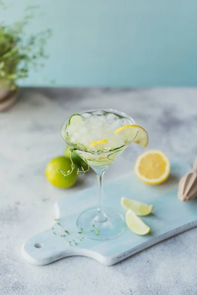 Bebida Alcoólica Verão Cocktail Caseiro Refrescante Com Gim Vodka Tequila — Fotografia de Stock