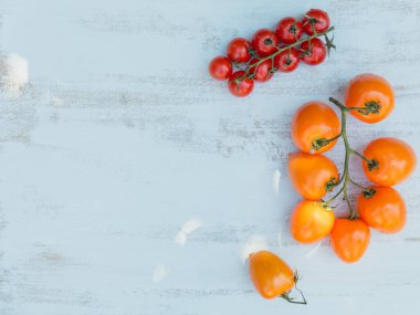 Açık mavi arka planda çeşitli renkli domatesler. Metin için üst görünüm ve kopyala