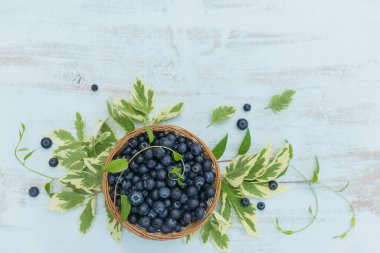 Beyaz ahşap arka planda bir sepet dolusu taze yaban mersini ve yaprak. Sağlıklı beslenme ve diyet gıda kavramı.