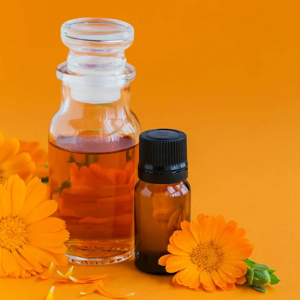 Natural Essential Oil Tincture Infusion Calendula Flowers Orange Background Healthy — Stock Photo, Image