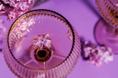 Köpüklü bir içecekte süzülen leylak yapraklı, dağınık çiçeklerle çevrili, klasik tarzda bir şampanya bardağının üst görüntüsü.