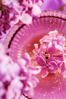 Pembe şampanyada süzülen eflatun çiçekleri. Mor bir arka planda zengin desen ve detay.