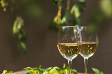 Beyaz şarap kadehlerini yakın plan yeşil yapraklar ve üzümler kırsal masada açık hava ışığında..