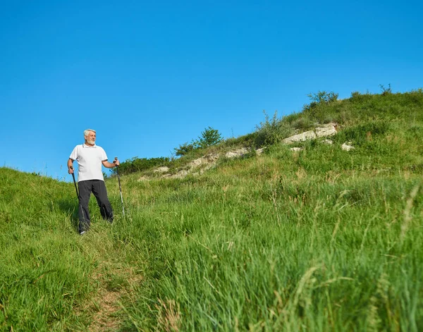 Oude man lopen op groene veld met het volgen van de stokken. — Stockfoto