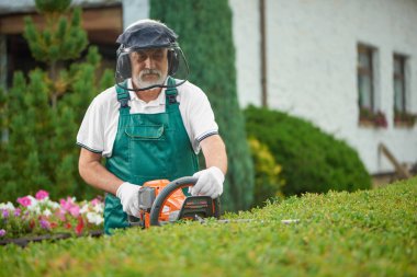 Benzin hedgecutter ile bahçıvan Bahçe kesme hedge.
