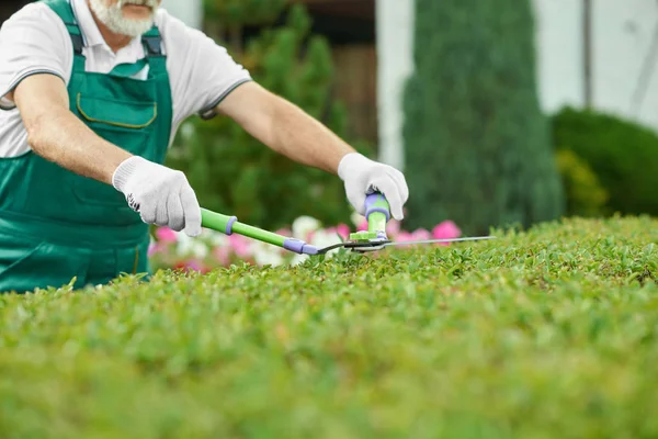 Jardinero masculino mano sosteniendo tijera y cortando hierba . — Foto de Stock