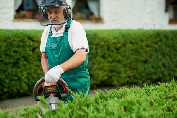 Jardinero recorte seto en el jardín con cortador de seto de gasolina . — Foto de Stock