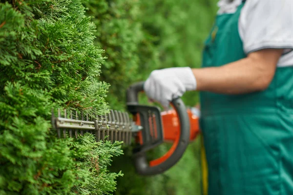 Close up of man hand with hedge trimmer cutting bushes. Royalty Free Stock Photos