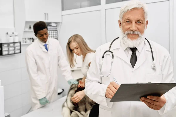 Médico veterinario confiado posando en la clínica, mirando la cámara . — Foto de Stock