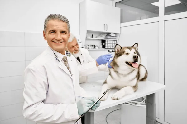 Veterano maturo guardando la fotocamera, mentre il medico osservando cane . — Foto Stock