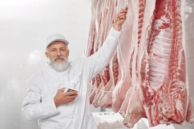 Domuz leşi sırasının yanında duran üniformalı adam, test ediyor.