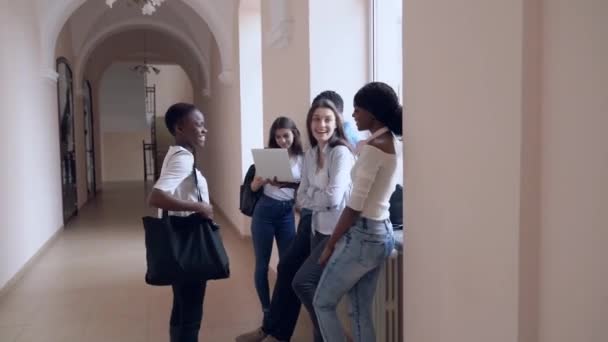 Studenci rozmawiają w korytarzu podczas przerwy w college'u — Wideo stockowe