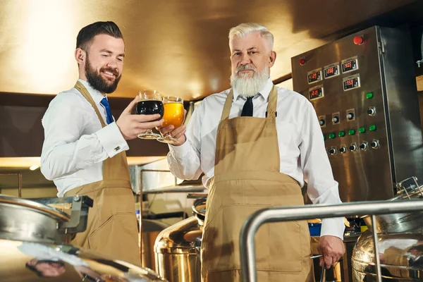 Glada bryggerierna håller glasögon med ljus och mörk öl. — Stockfoto