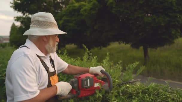 Jardineiro profissional em macacão usando cortador de sebes — Vídeo de Stock