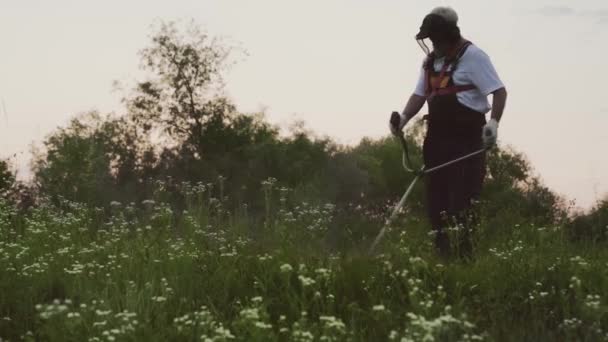 Vista desde el lado del hombre en proceso de recorte de hierba en el campo — Vídeo de stock