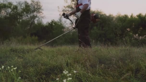 Selective focus of field and man working with trimmer — Stock Video