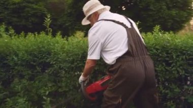 Yolun yanında duran ve çalıları budaan adam