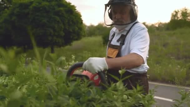 Homem que se preocupa com plantas e grama em parques e jardim — Vídeo de Stock