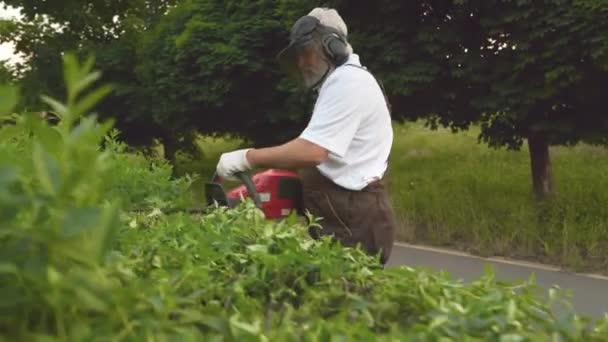 Herramienta de mantenimiento del hombre y recorte de arbustos verdes en el jardín — Vídeo de stock