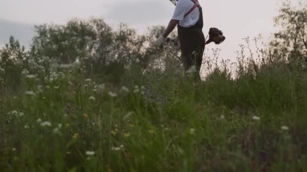 View from down of male gardener in process of cutting grass — Stock Video