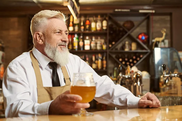 Maschio birraio in piedi sopra bar e sorridente — Foto Stock