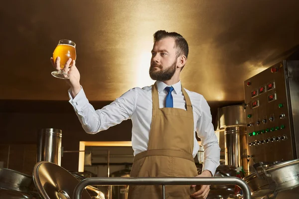 Specialista in possesso e guardando vetro di birra . — Foto Stock