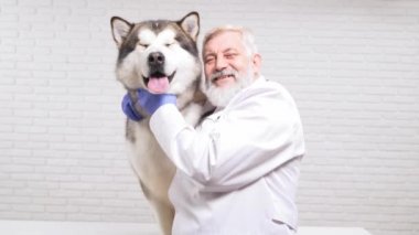Veteriner büyük köpeği kucaklıyor, gülümsüyor ve kameraya bakıyor.