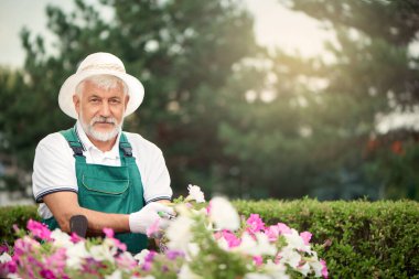 Çiçekler için secateur kullanan bahçıvan..