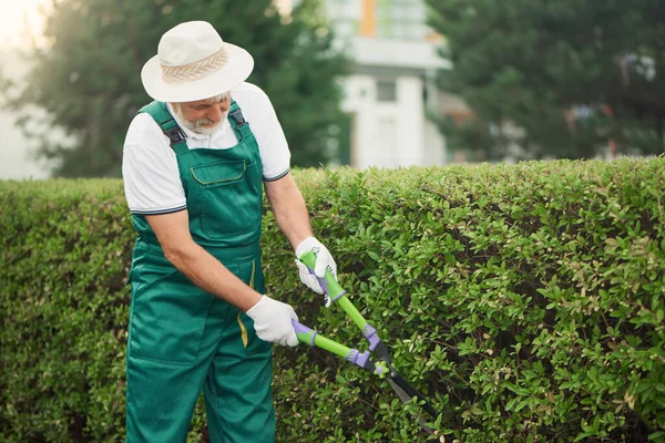 Hombre con sombrero cortando matorrales . — Foto de Stock