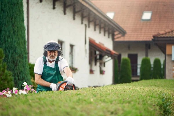 Hombre usando protección de oreja y cara cortando arbustos . — Foto de Stock