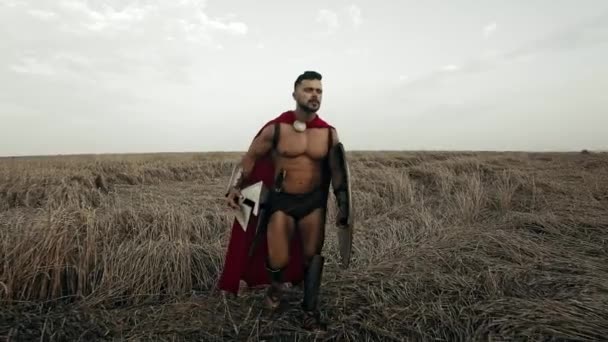 Shirtless spartan walking in dry field. — Stock Video